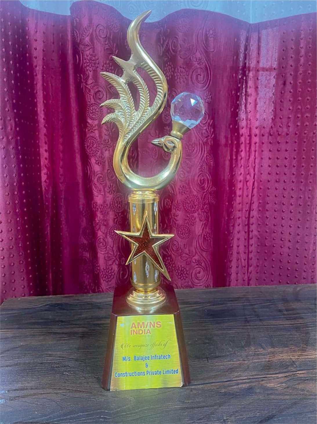 Balajee award and recognition 17